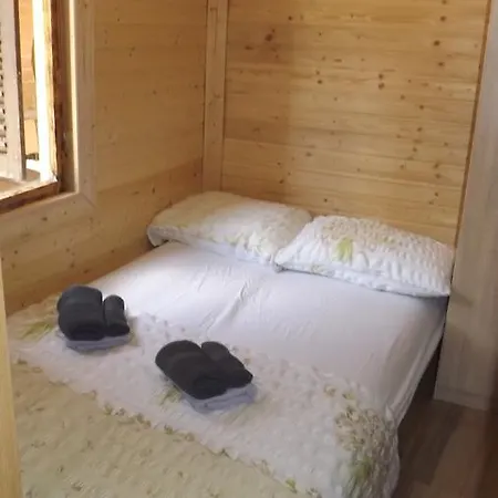 Barbara 山林小屋